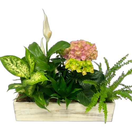 A beautiful lush plant arrangement of greens and flower plants.
