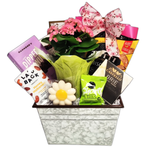 A gift basket including a potted plant, biscuits, nuts, chocolate, cheese and crackers.