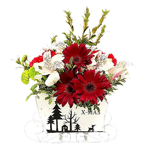 A pretty floral arrangement of lush Christmas greens and red and white florals nestled inside our wooden sleigh is sure to make the sleigh bells ring.