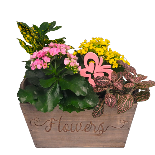 Wooden planter filled with green and flower plants.