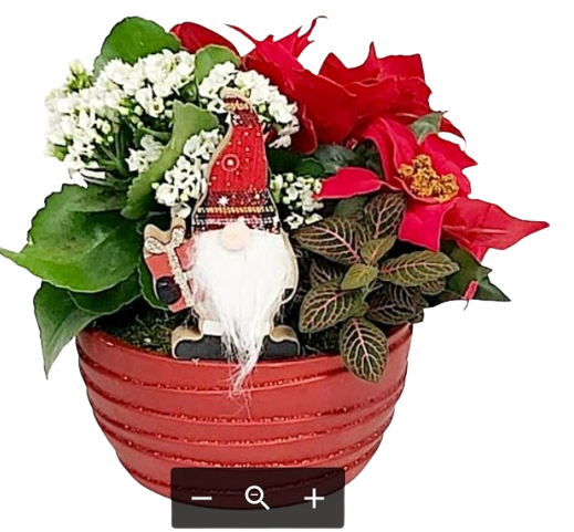 Christmas Greetings - Baskets and Blooms For You Ottawa