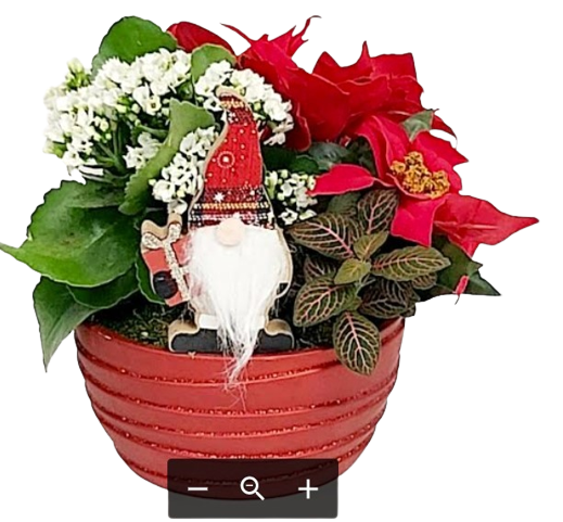 A little gnome in an assortment of potted holiday plants in a red planter.