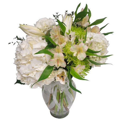 An arrangement of whites and greens with alstromeria, hydrangea and fuji mums.