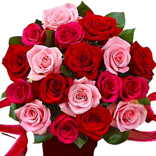 A graceful bouquet of 18 luscious red and pink roses hand-tied in the European tradition. For your special someone!