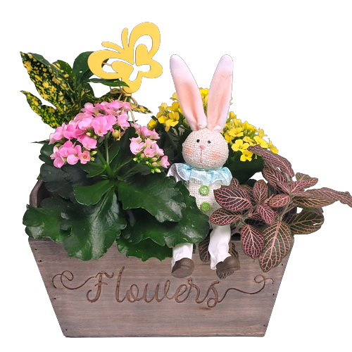 A wooden flower basket with our cute Easter Bunny peaking through!