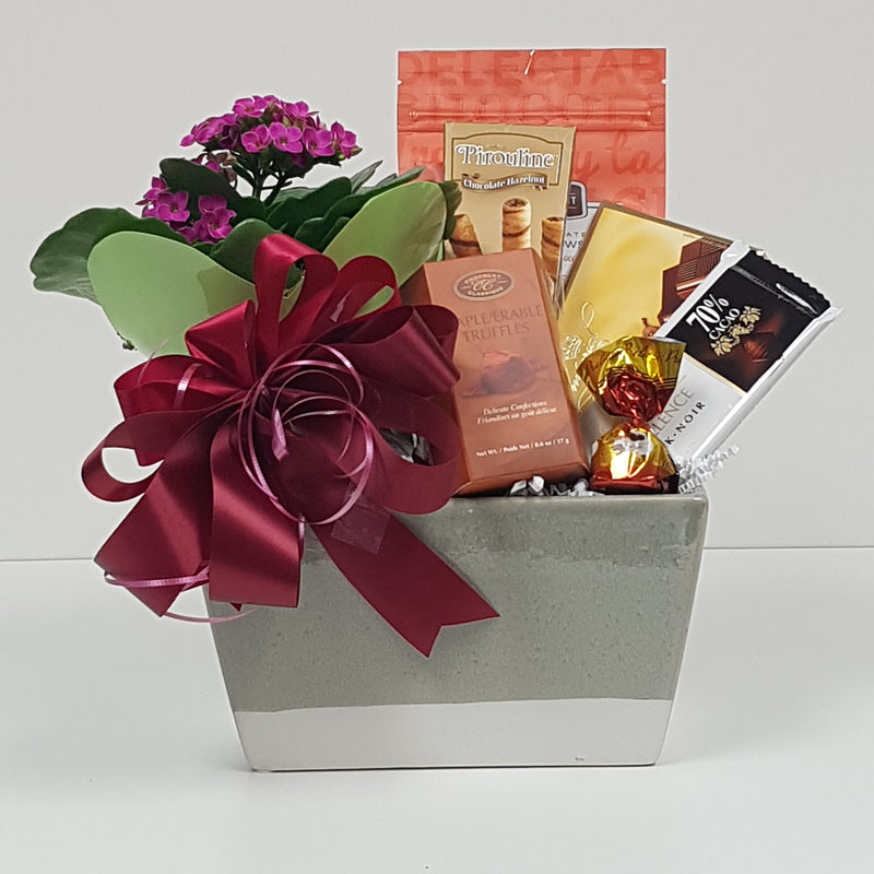 A ceramic container with a pretty plant and chocolate treats.