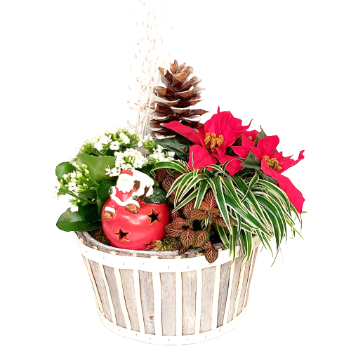 A tealight holder amongst lush green and floral plants in a woodsy-looking basket.