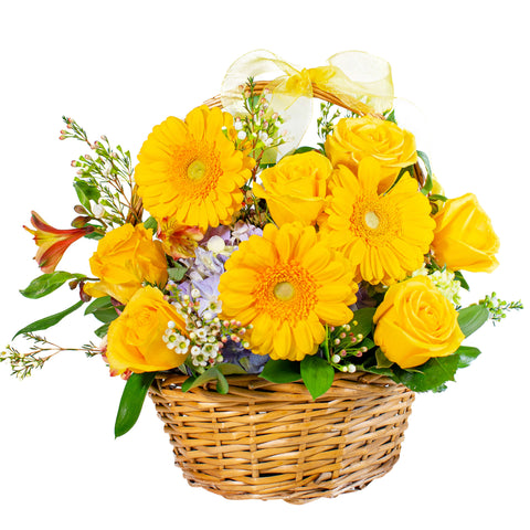 A pretty wicker basket filled with bright yellow booms. There's gerbera daisies, roses and hydrangea too!