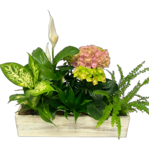 A beautiful, lush garden planter arrangement of greens and flower plants.