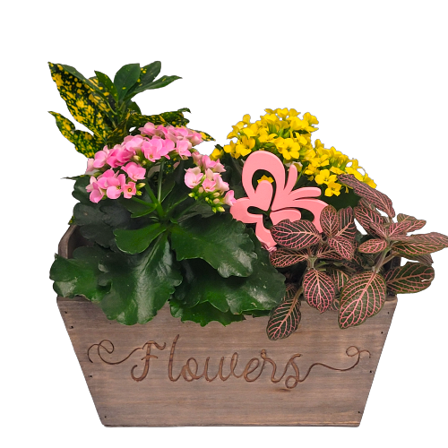 Flower Market - Baskets and Blooms For You Ottawa