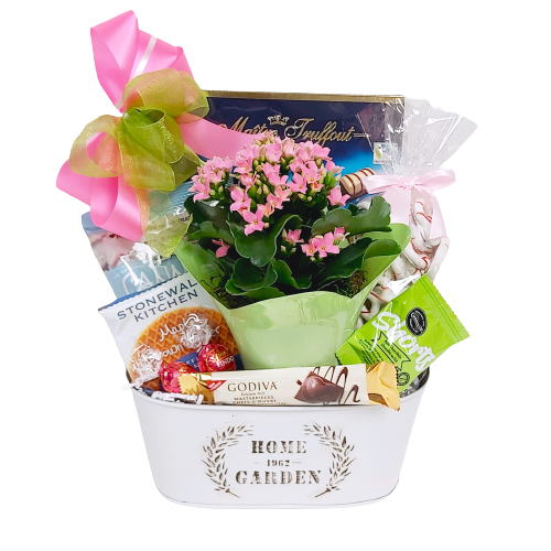A beautiful arrangement of a pretty blooming plant nestled amongst a delicious assortment of chocolates, cookies & sweet treats. A pleasure to give and delightful to receive! Blooming plant types and colours may vary. 