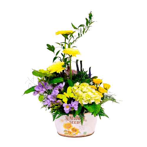 Send some bright sunshine with this pretty sunflower container filled with bright yellow and purple flowers.  Sure to brighten anyone's day! 