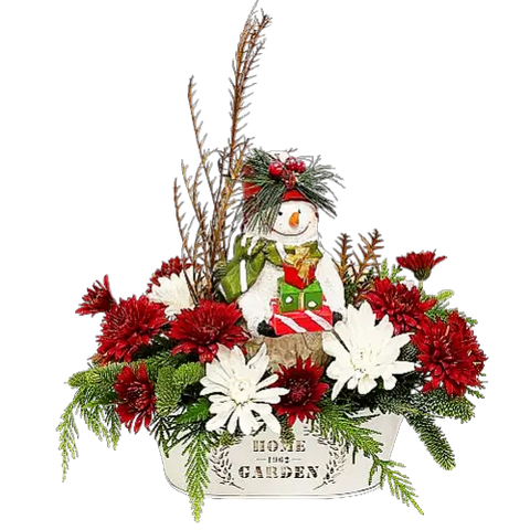 Our festive snowman is delivering a beautiful arrangement to celebrate the holidays. A festive arrangement to brighten the holiday decor!