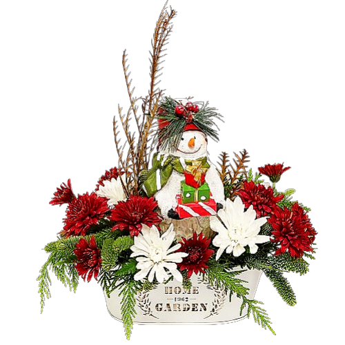 Our festive snowman is delivering a beautiful arrangement to celebrate the holidays. A festive arrangement to brighten the holiday decor!