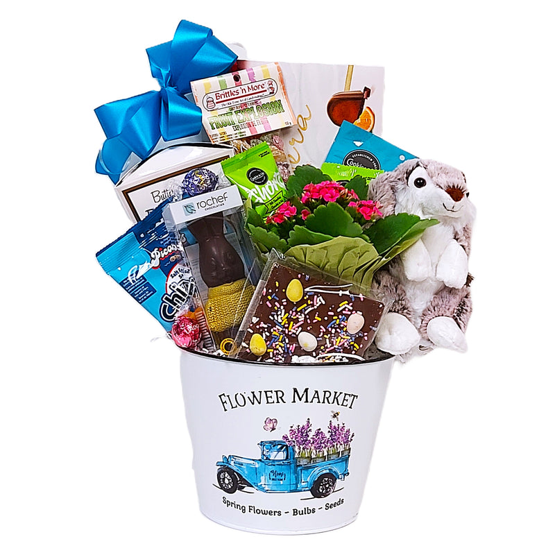 Send some springtime cheer with this lovely Flower Market tin filled with lots of delectable chocolate, pretzels, shortbread, nuts, a soft and plush bunny, a chocolate bunny and a pretty floral plant to keep!