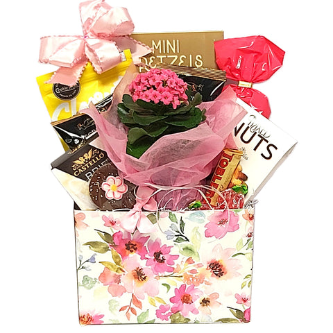 Floral print container filled with crackers, cheese, shortbread, pretzels, nuts, chocolate and candy treats too.  There's also a pretty flowering plant to enjoy long after the treats are gone. 