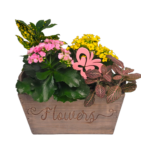 Wooden planter filled with green and flower plants.