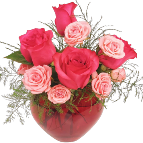 Heart shaped glass vase filled with dark pink roses and light pink spray roses.