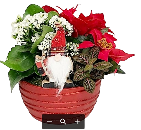 A little gnome in an assortment of potted holiday plants in a red planter.