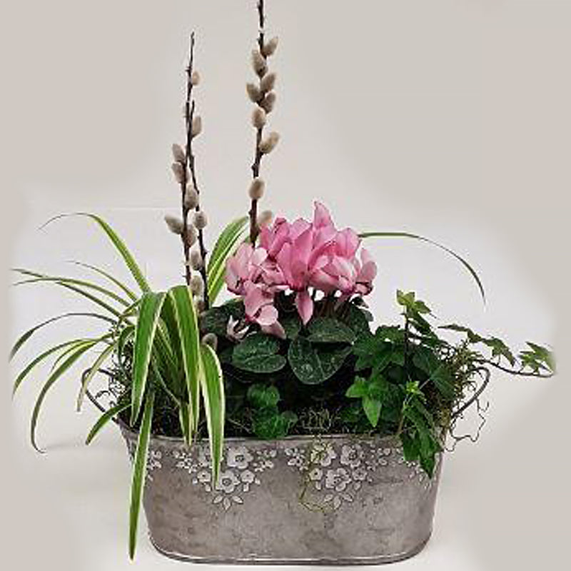 Everlasting - Baskets and Blooms For You Ottawa