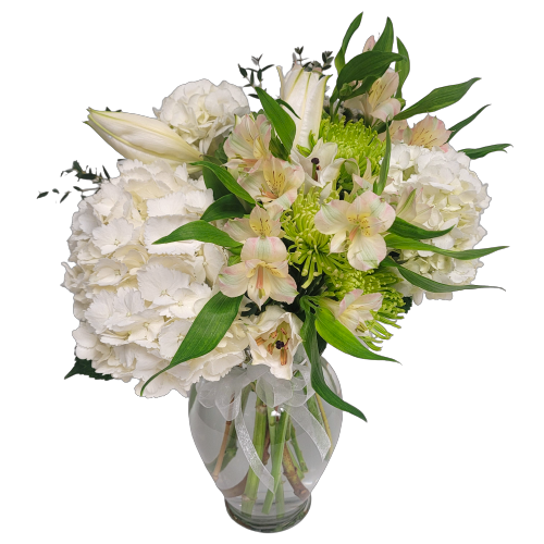 A beautiful arrangement of whites and greens with alstromeria, hydrangea and fugi mums. Soft and tranquil. 