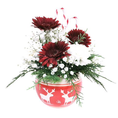 A pretty assortment of Christmas florals in a keepsake 'Nordic' looking candy dish.