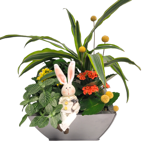 This garden of green and flowering plants will add a pretty touch to someone's Easter decor with our little bunny sitting on the edge. It'll be enjoyed long after the Easter festivities are over. 