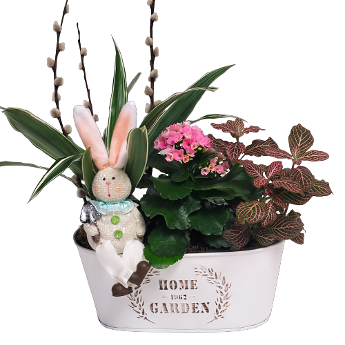 Nestled in this pretty home & garden tin planter are beautiful green and flowering plants with a cute little bunny to take care of them.  