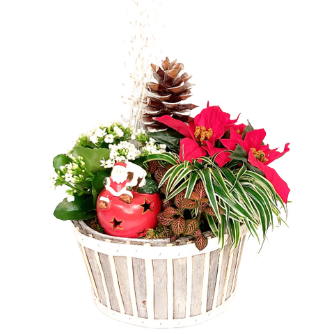 A tealight holder amongst lush green and floral plants in a woodsy-looking basket.