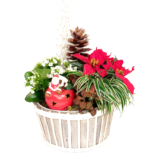 Winter Wonderland - Baskets and Blooms For You Ottawa