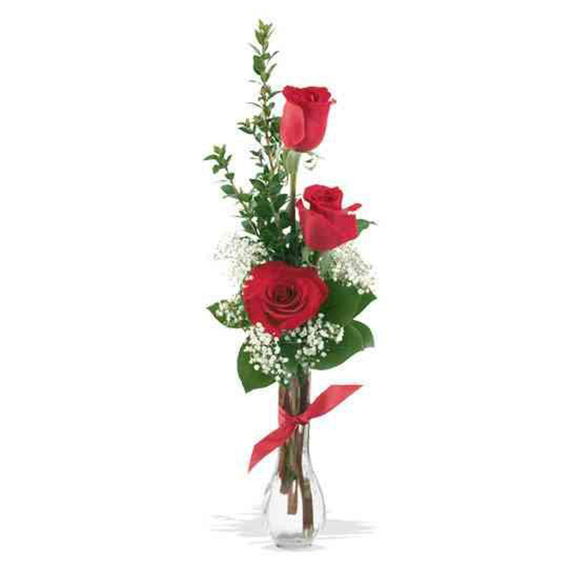 Bud vase of three red roses with lush greens and babies breath.